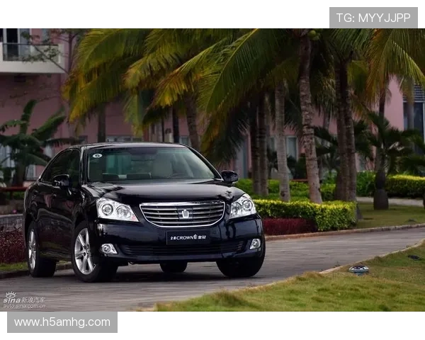 皇冠最新网址的维护更新细节，确保每一次进入都安全可靠